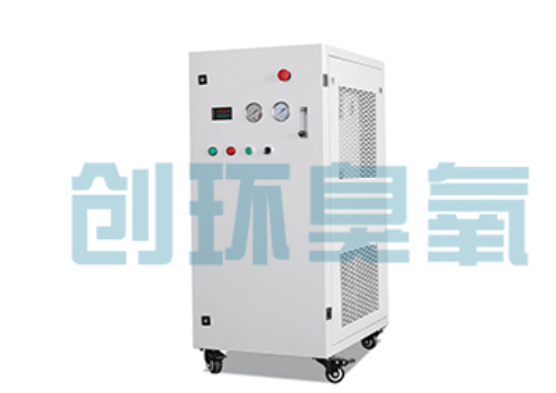 眉山石斑鱼养殖水质调控完整指南:臭氧发生器配置与操作步骤