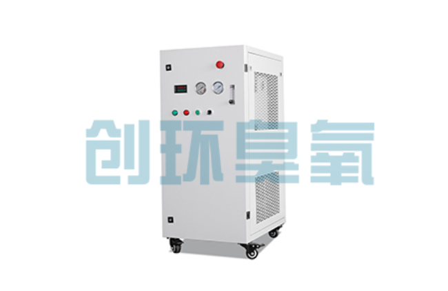 眉山比传统换水更高效?臭氧发生器在石斑鱼养殖中的水质净化原理解析